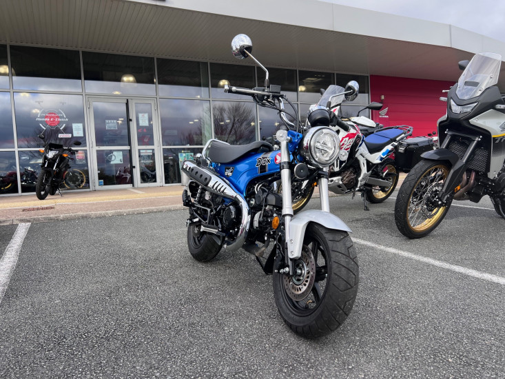 HONDA ST125 DAX - PUILBOREAU